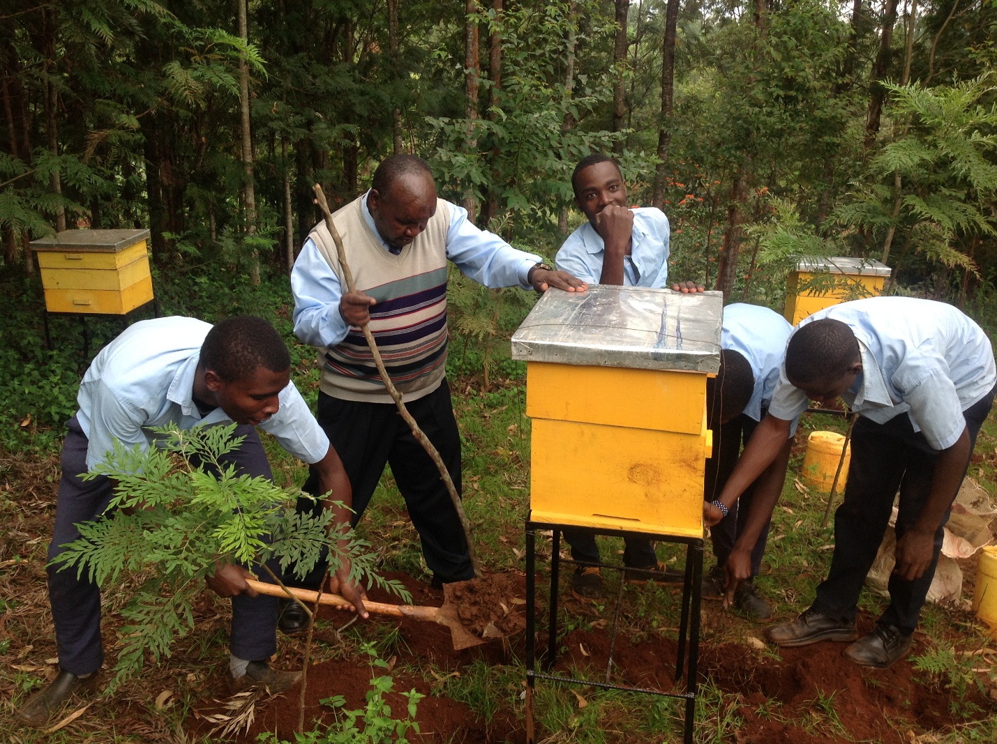 Students  and  Kiini Sustainable Initiative staff installing a beehive